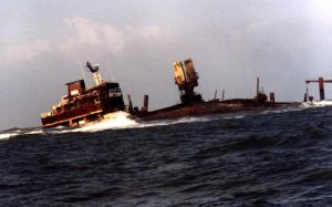 "Pallas" 1998 im norddeutschen Wattenmeer