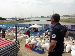 PBS_NL_4