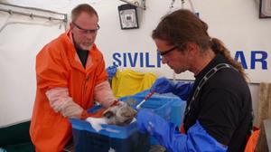 Einsatz in Norwegen